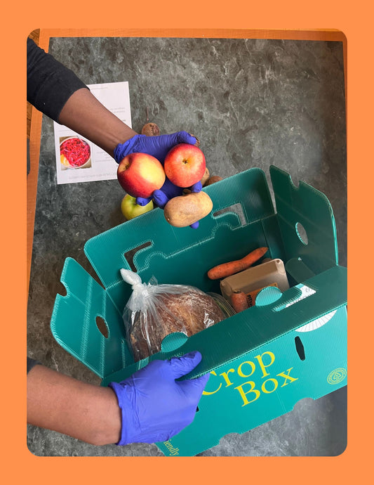 RWJB Summer Specialty CSA Box — The Soloist